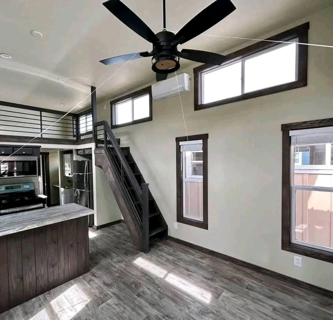 COSTUME BARN OWL detail 1