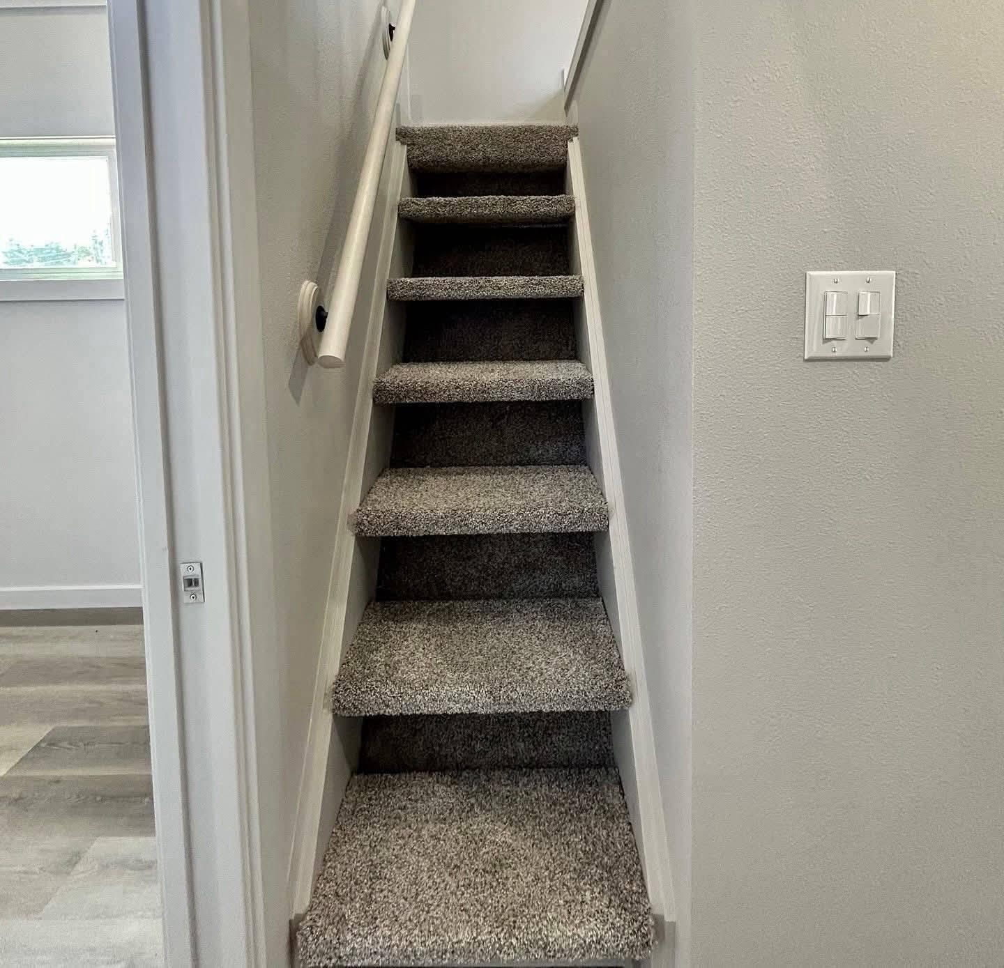 2023 CUSTOM LARK archive 9