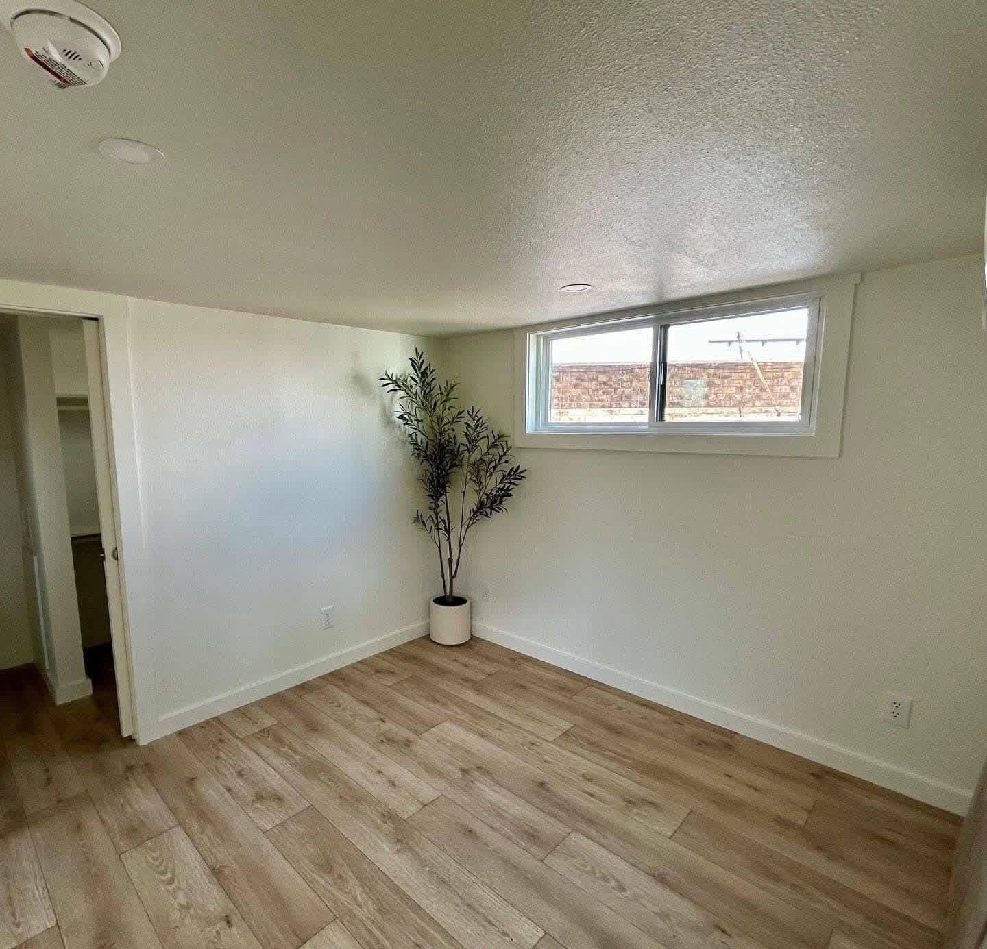 CARDINAL LOFT MODEL archive 8